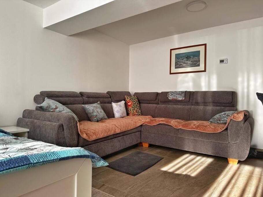 Apartment Zen *